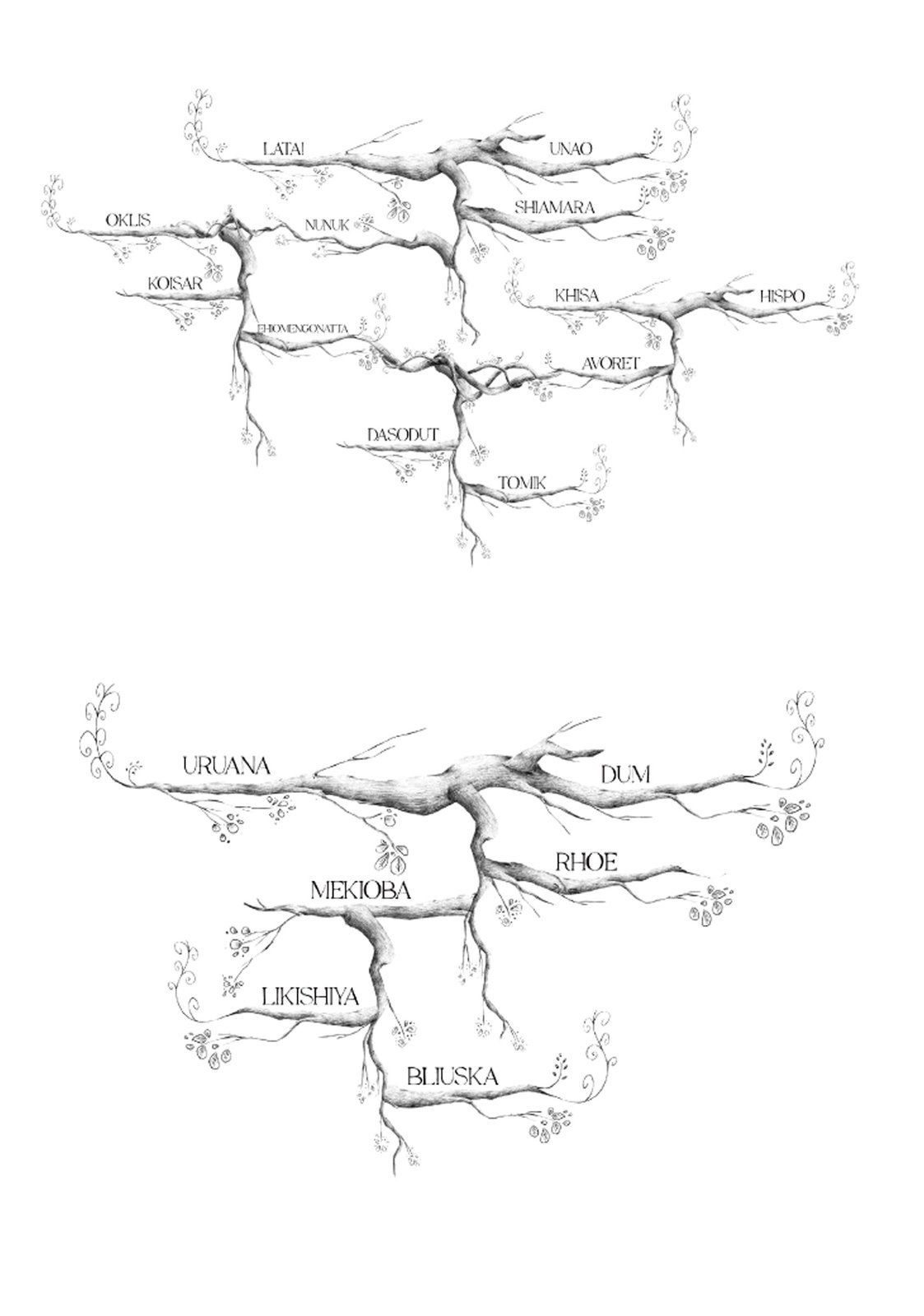 Árbol genealógico 1