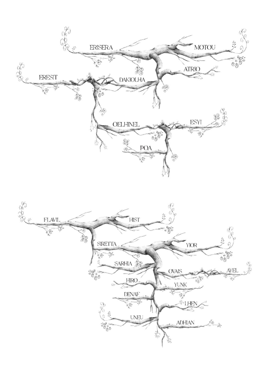 Árbol genealógico 2